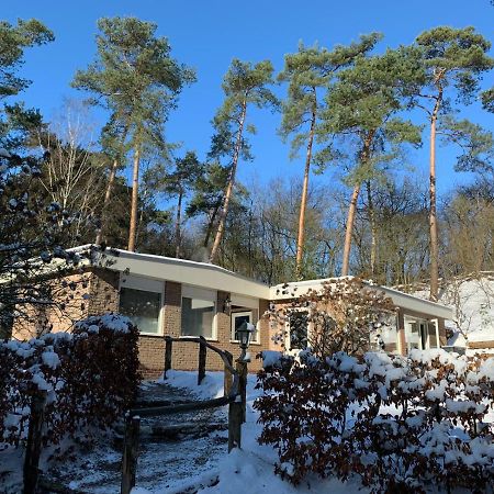 Het Fazantenbosje Villa Dalfsen Exterior foto