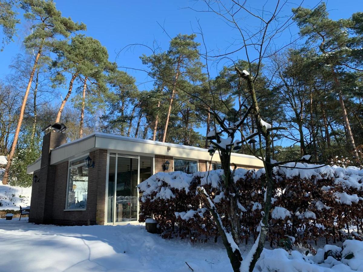 Het Fazantenbosje Villa Dalfsen Exterior foto