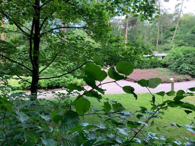 Het Fazantenbosje Villa Dalfsen Exterior foto